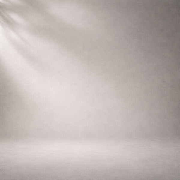 gray background with plant shadow