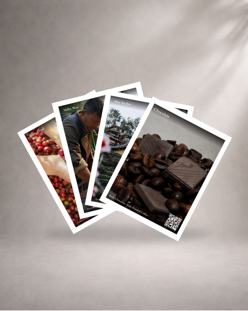 Collage of three images showing a person with coffee beans, coffee cherries, a plantation, and coffee beans with dark chocolate