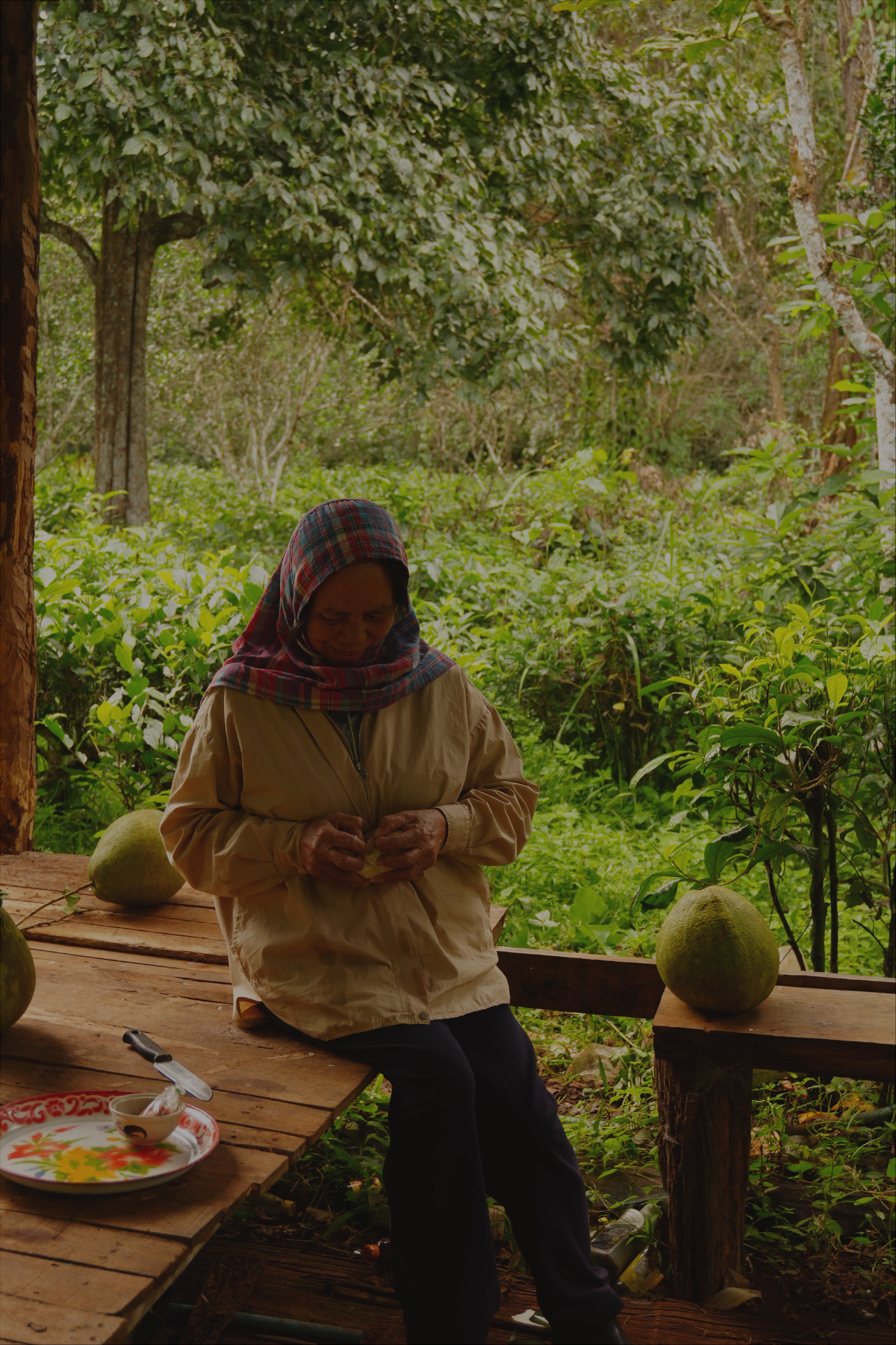 a thai lady sitting on a wooden bench harvesting thai coffee
