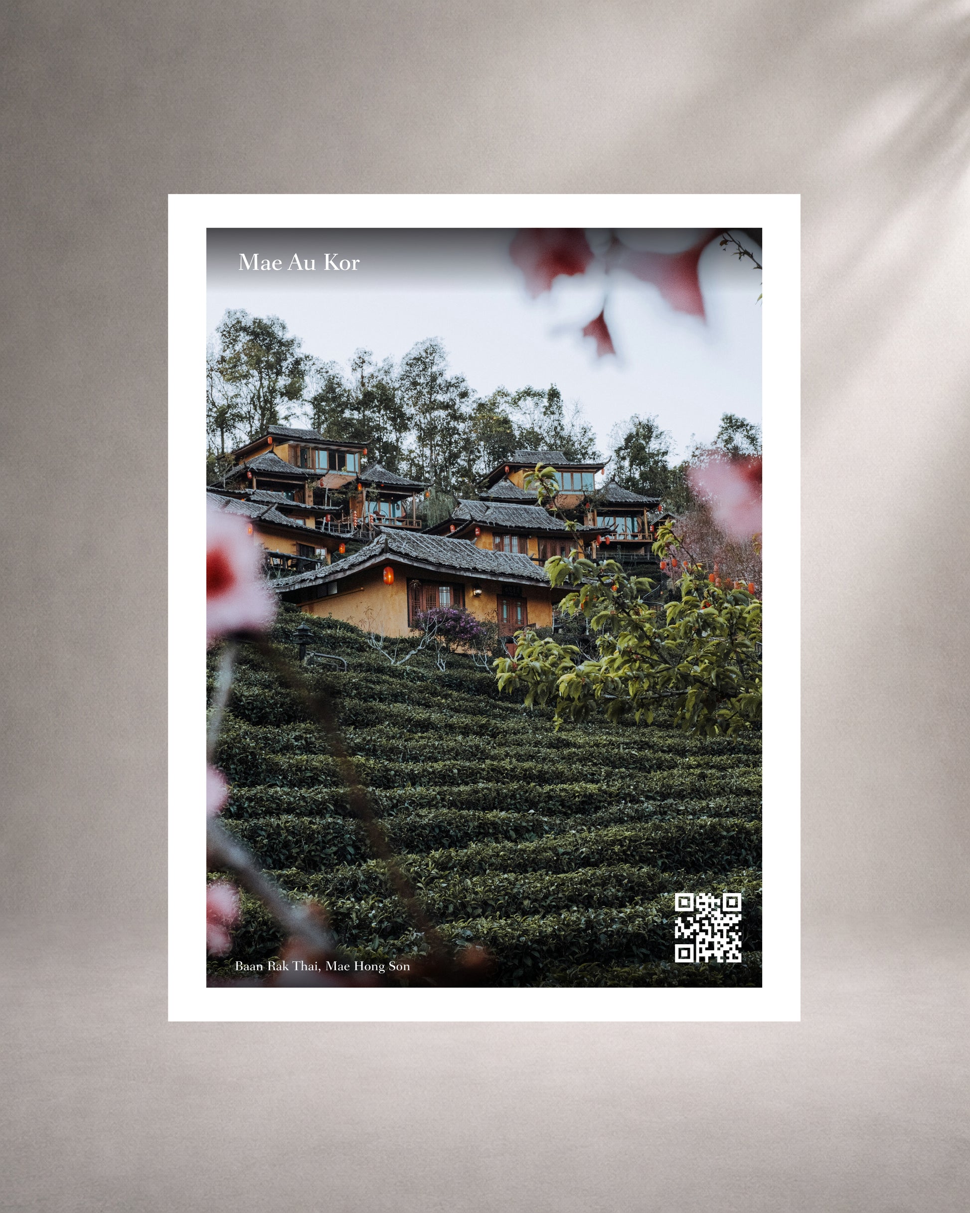 card of baan rak thai with houses that looks traditional chinese infront of a tea farm and pink flowers